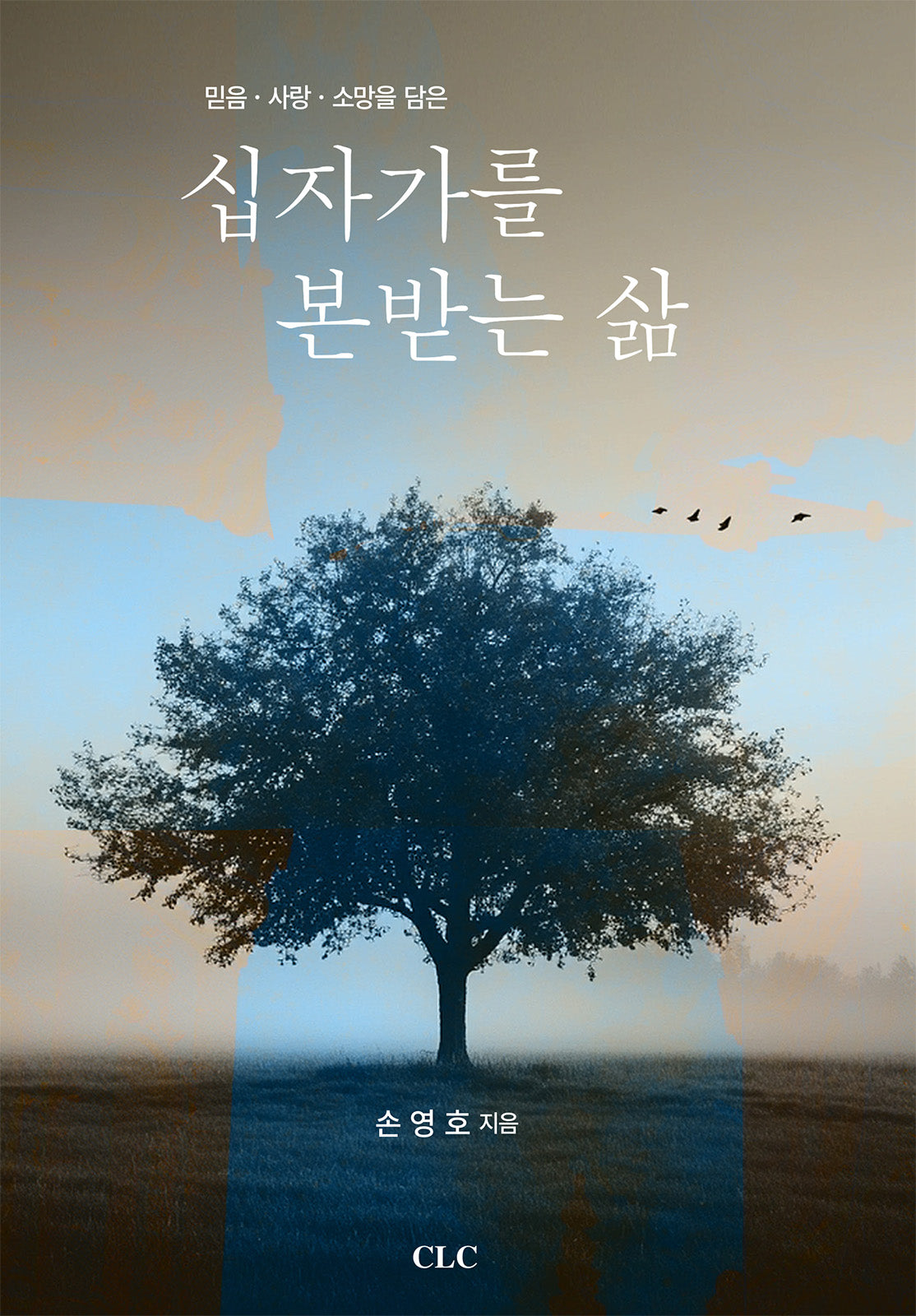 십자가를 본받는 삶(믿음·사랑·소망을 담은)