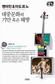 벤야민&아도르노: 대중문화의 기만 혹은 해방(지식인마을 30)
