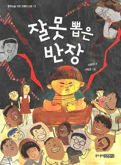 잘못 뽑은 반장(중학년을 위한 한뼘도서관 13)