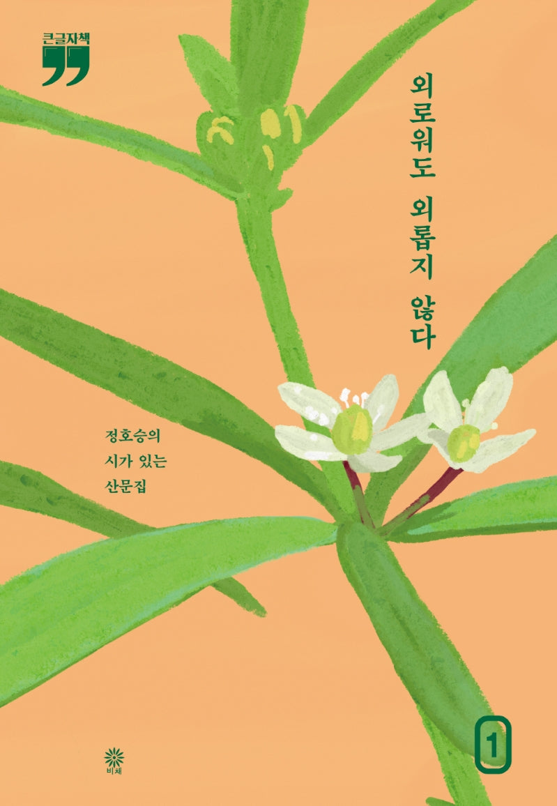 외로워도 외롭지 않다 1(큰글자책)