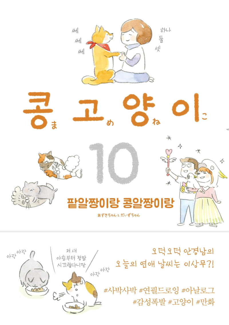 콩고양이 10