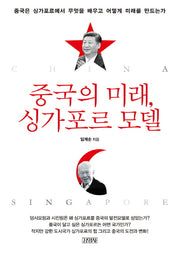 중국의 미래, 싱가포르 모델