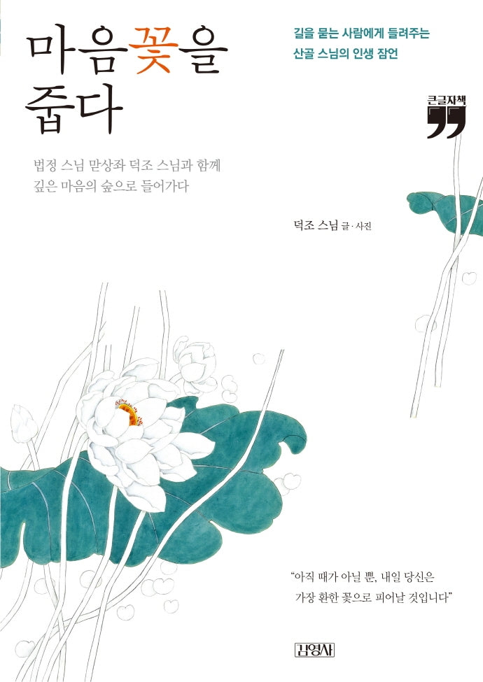 마음꽃을 줍다(큰글자책)