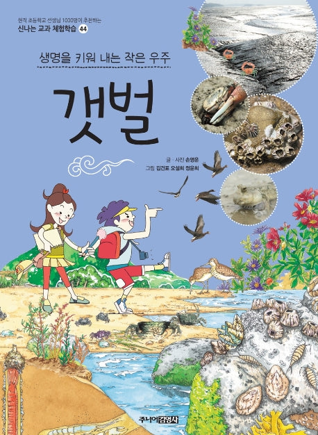 갯벌(신나는 교과 체험학습 44)