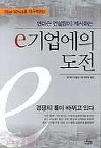 e 기업에의 도전
