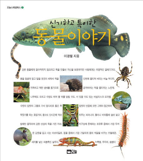 신기하고 특이한 동물이야기(오늘스페셜북스 2)