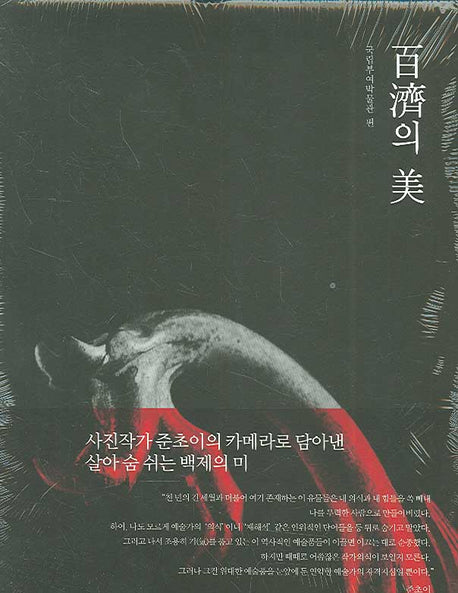 백제의 미(국립부여박물관 편)