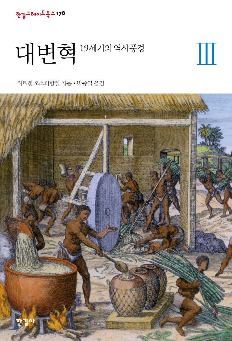 대변혁 3: 19세기의 역사풍경(한길그레이트북스 178)(양장본 Hardcover)