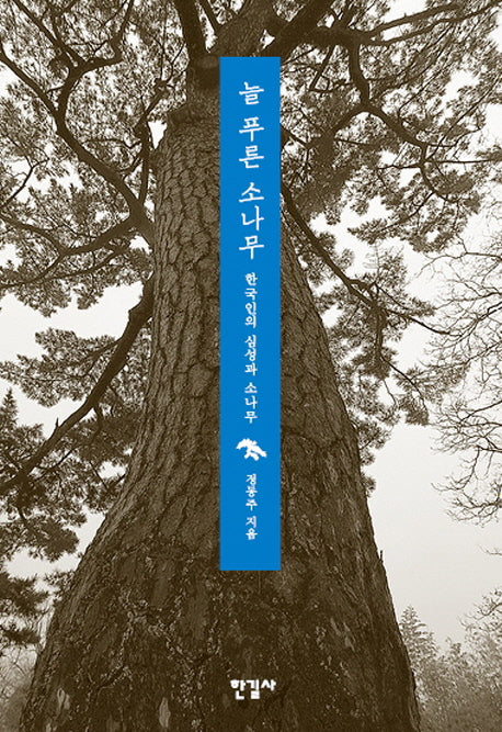 늘 푸른 소나무