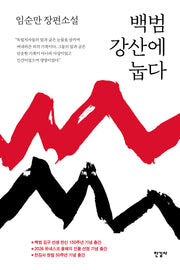 백범 강산에 눕다(반양장)