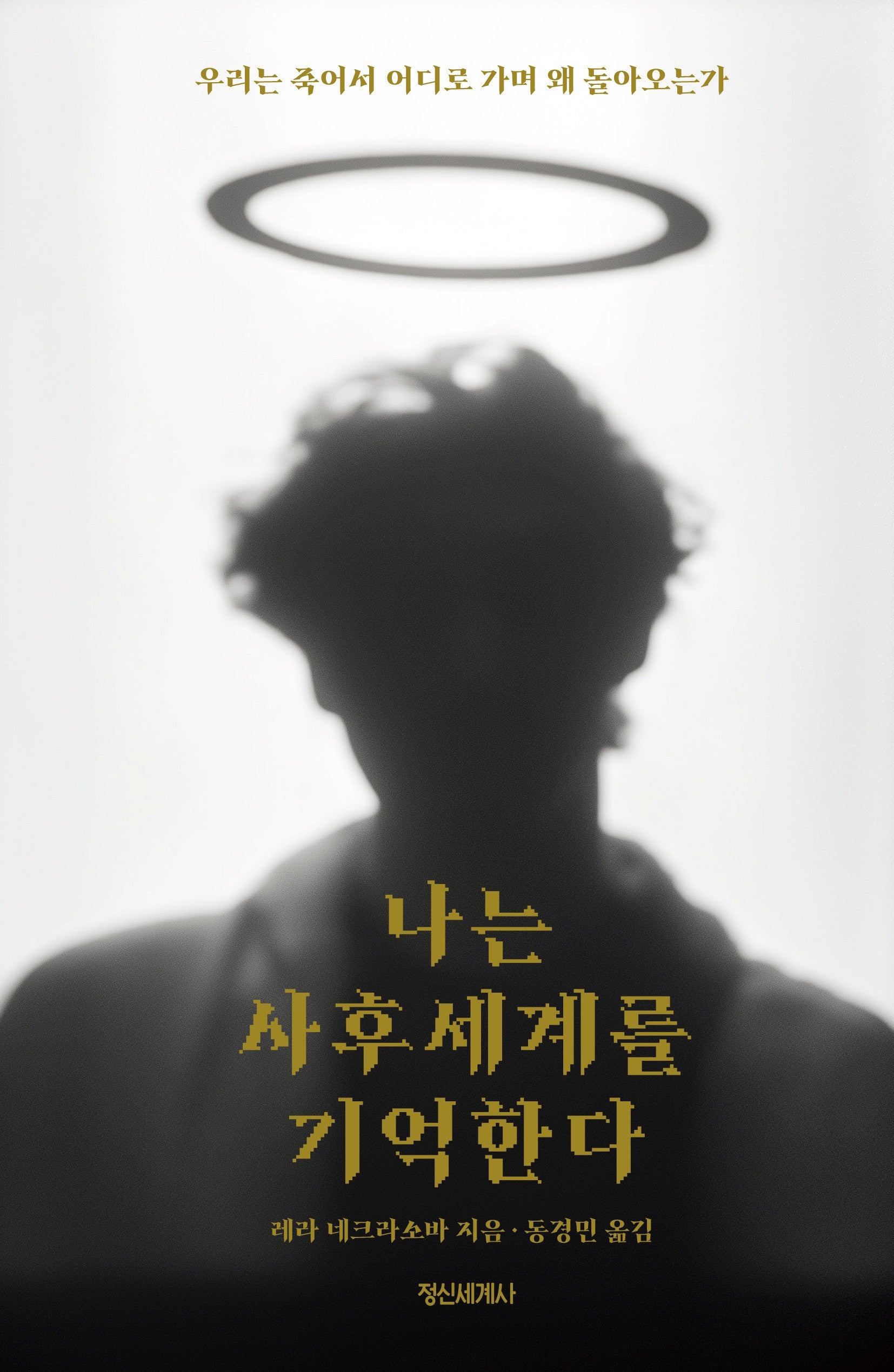 나는 사후세계를 기억한다