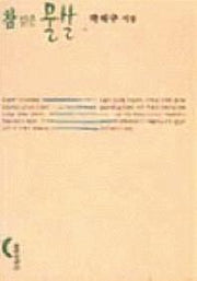 참 맑은 물살(창비시선 137)