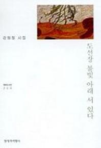 도선장 불빛 아래 서 있다(창비시선 220)