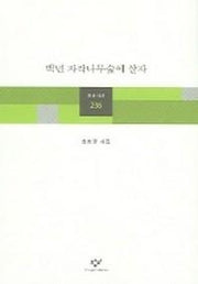 백년 자작나무숲에 살자(창비시선 236)