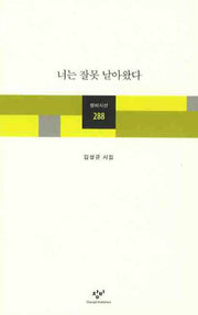 너는 잘못 날아왔다(창비시선 288)