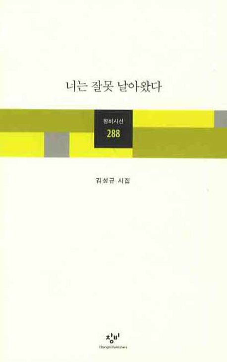 너는 잘못 날아왔다(창비시선 288)