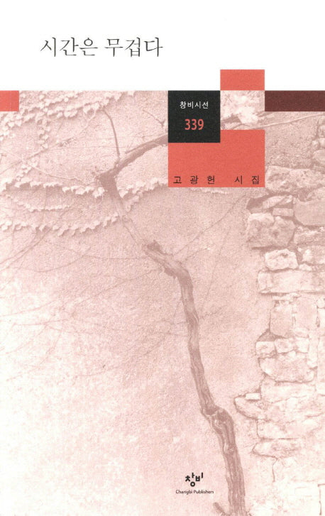 시간은 무겁다(창비시선 339)