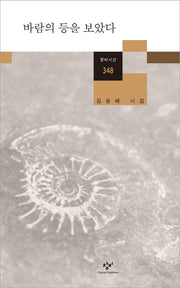 바람의 등을 보았다(창비시선 348)