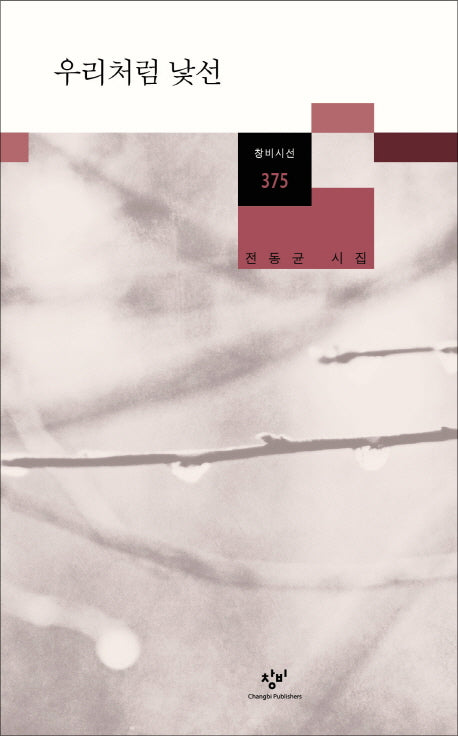 우리처럼 낯선(창비시선 375)