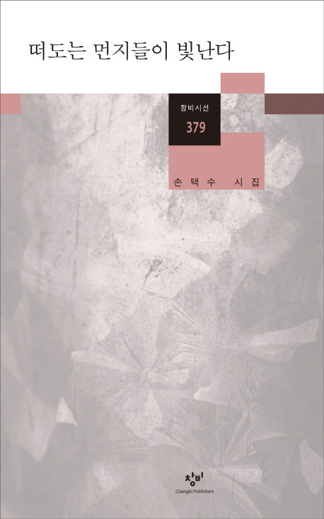 떠도는 먼지들이 빛난다(창비시선 379)