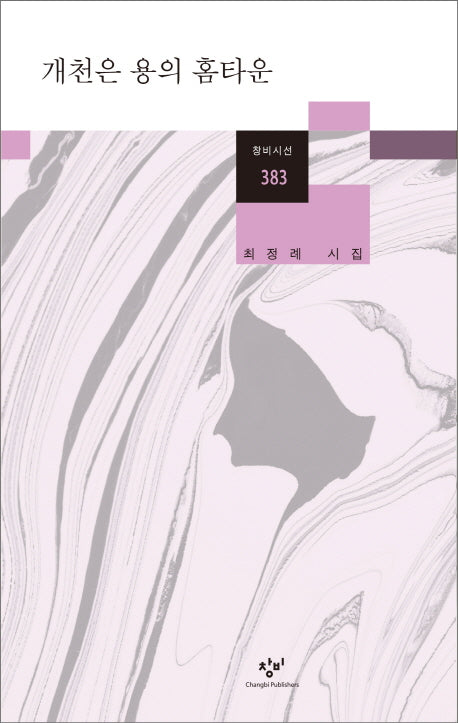 개천은 용의 홈타운(창비시선 383)