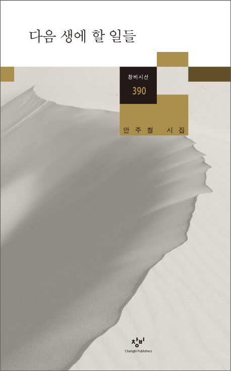 다음 생에 할 일들(창비시선 390)