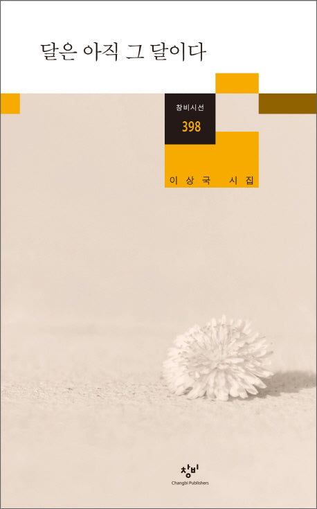 달은 아직 그 달이다(창비시선 398)