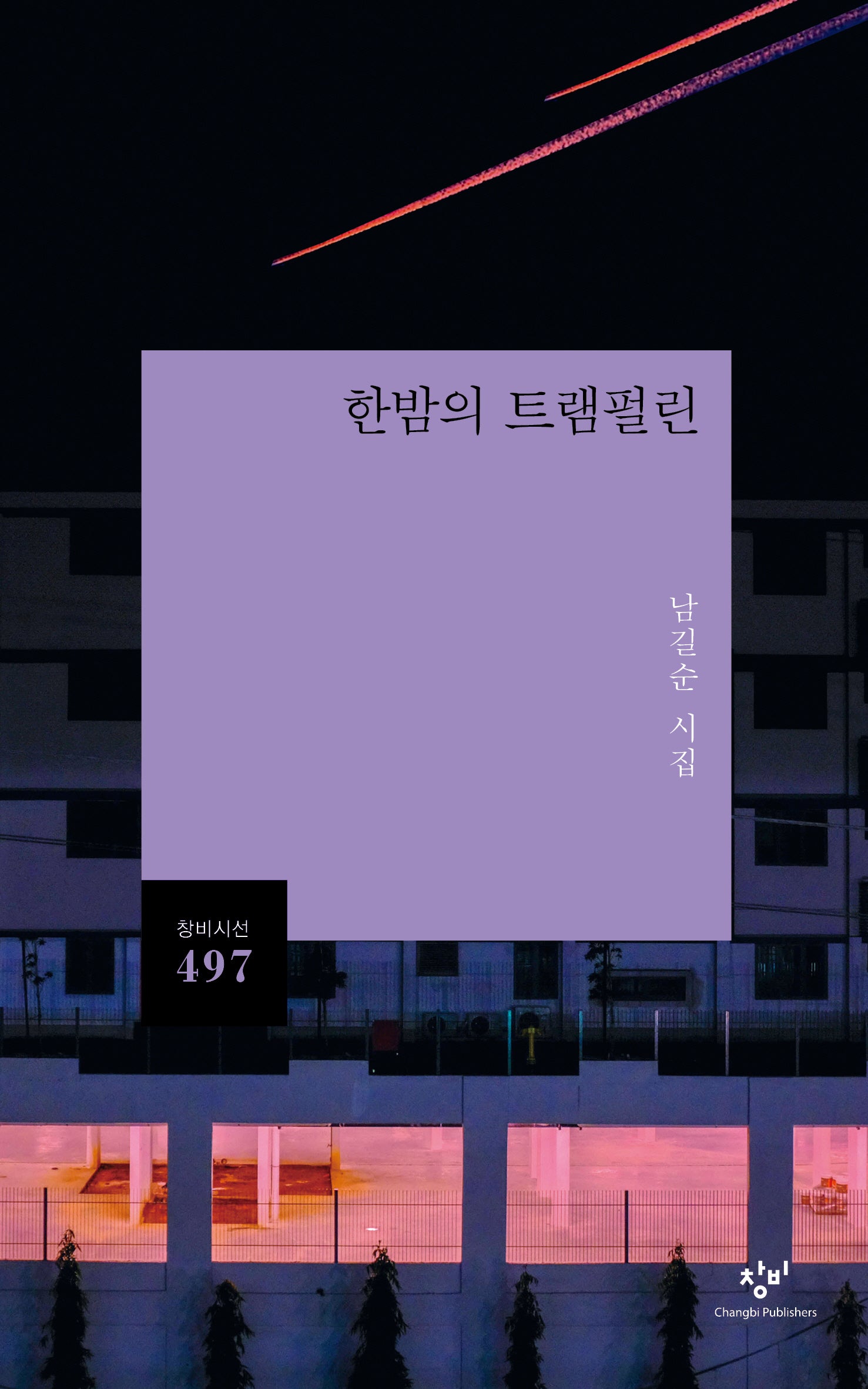 한밤의 트램펄린(창비시선 497)