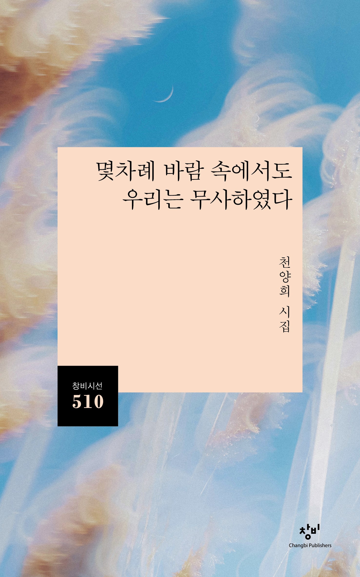 몇차례 바람 속에서도 우리는 무사하였다(창비시선 510)