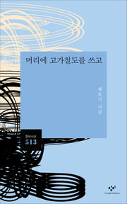 머리에 고가철도를 쓰고(창비시선 513)(반양장)