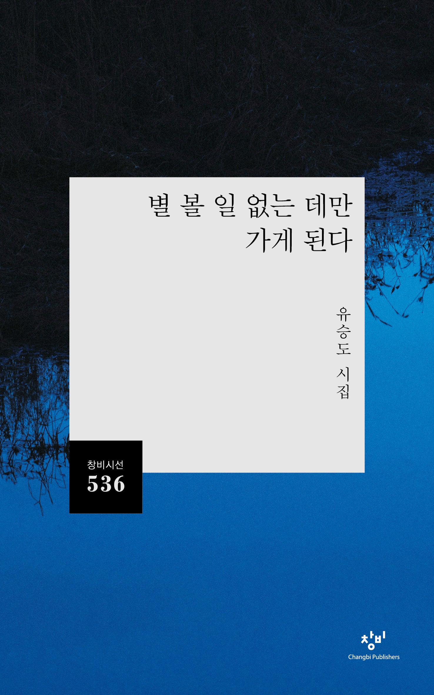 별 볼 일 없는 데만 가게 된다(창비시선 536)