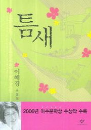 틈새