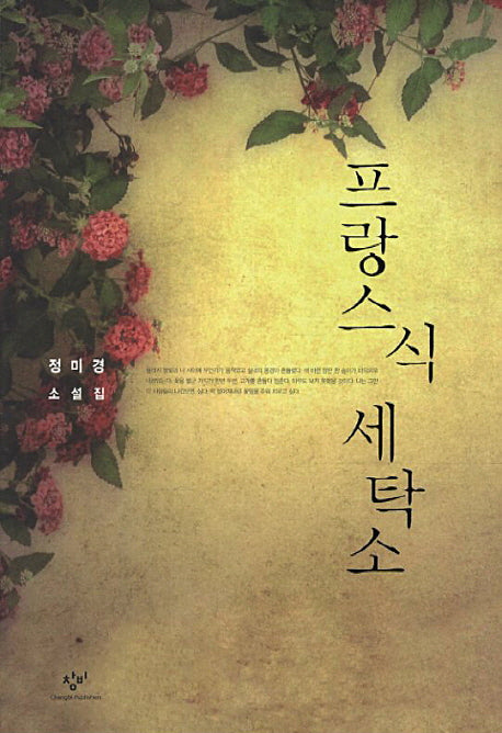 프랑스식 세탁소