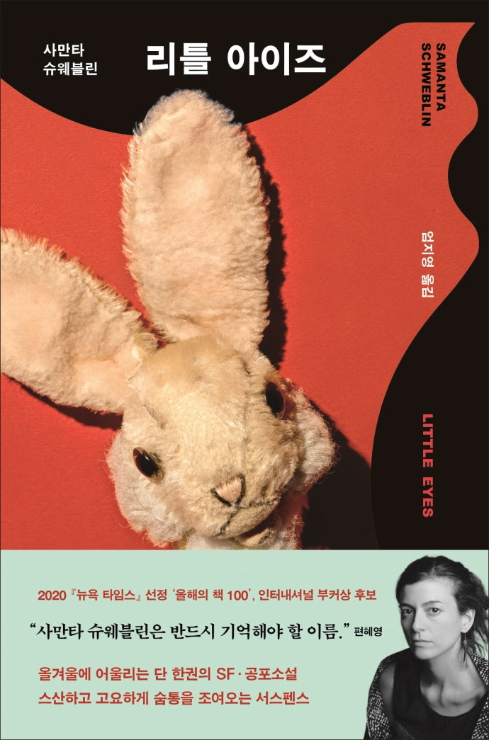 리틀 아이즈(양장본 HardCover)