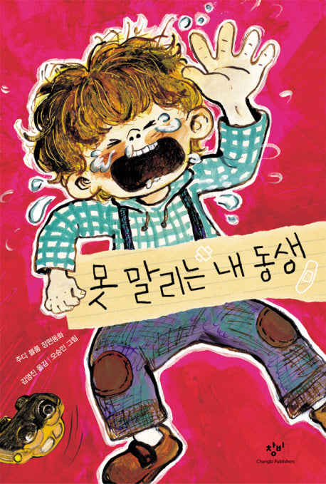 못말리는 내동생(창비아동문고 253)