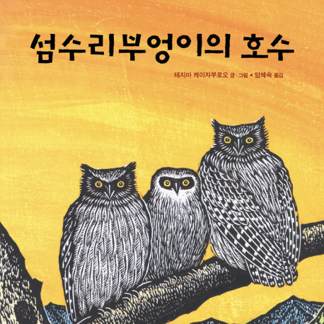 섬수리부엉이의 호수(양장본 HardCover)