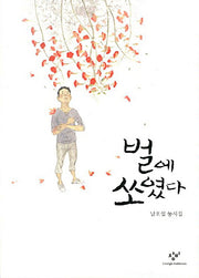 벌에 쏘였다