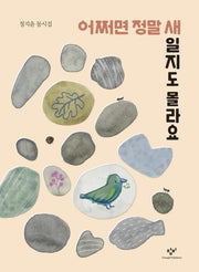 어쩌면 정말 새일지도 몰라요