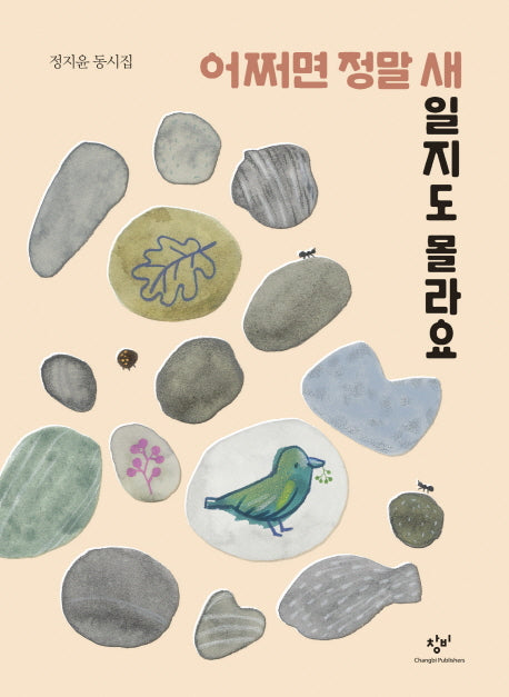 어쩌면 정말 새일지도 몰라요