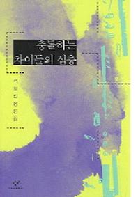 충돌하는 차이들의 심층