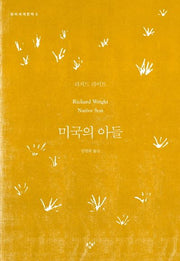 미국의 아들(창비세계문학 2)