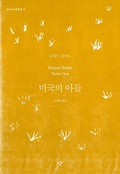 미국의 아들(창비세계문학 2)