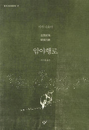 암야행로(창비세계문학 17)
