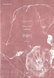 몸앓이(창비세계문학 24)