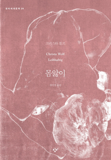 몸앓이(창비세계문학 24)