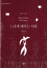 느리게 배우는 사람(창비세계문학 30)