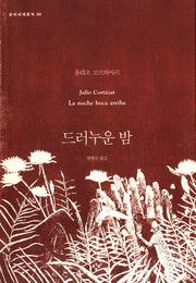 드러누운 밤(창비세계문학 39)