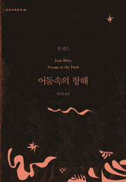 어둠속의 항해(창비세계문학 66)
