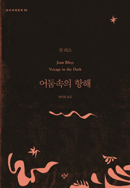 어둠속의 항해(창비세계문학 66)