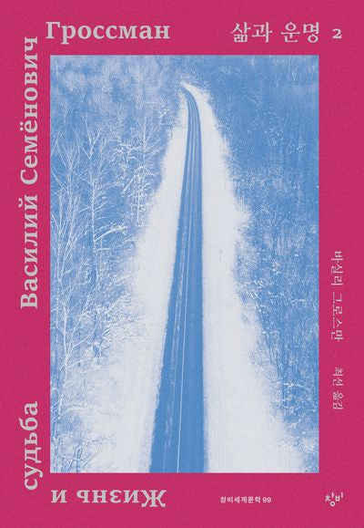 삶과 운명 2(창비세계문학 99)